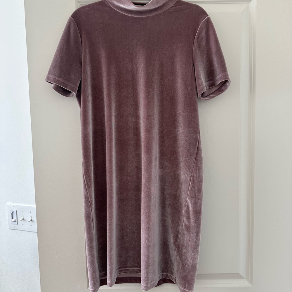 Madewell Velvet Mock Neck Mini Dress
